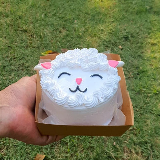 Bento Cake - Muffin Club